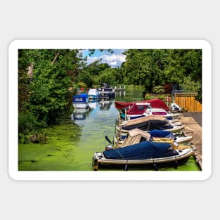 Boats Moored Above Goring Mill Sticker